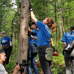 Добровольцы РТУ МИРЭА вернулись из Прибайкальского национального парка