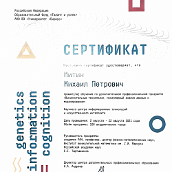 Учащиеся Института информационных технологий успешно прошли обучение в «Сириусе»