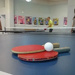Во Дворце спорта кампуса МГУПИ открылся зал настольного тенниса