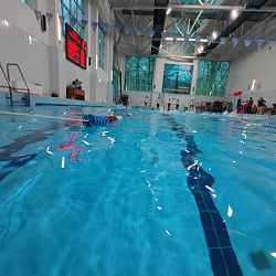 Определены победители Открытого первенства РТУ МИРЭА по плаванию