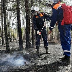 Добровольцы РТУ МИРЭА тушат пожары в Забайкалье