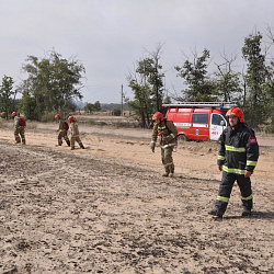 Помощь студентов-спасателей в тушении пожаров в Ростовской области была высоко оценена главой региона