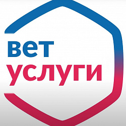 Проект представителей РТУ МИРЭА стал победителем конкурса на соискание премий мэра Москвы «Новатор Москвы»