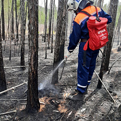 Добровольцы РТУ МИРЭА тушат пожары в Забайкалье