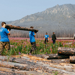 Добровольцы РТУ МИРЭА помогали восстанавливать лес на Байкале