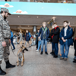 Студенты РТУ МИРЭА побывали на экскурсии в аэропорту Домодедово