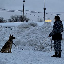 Студенты ИКБ РТУ МИРЭА стали участниками Всероссийской акции МВД России «Студенческий десант»
