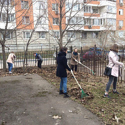 В университете состоялся субботник