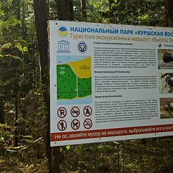 Волонтёры университета отправились в парк «Куршская коса»