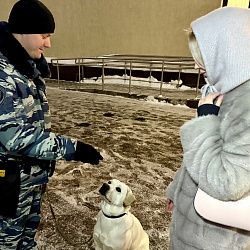 Студенты ИКБ РТУ МИРЭА стали участниками Всероссийской акции МВД России «Студенческий десант»