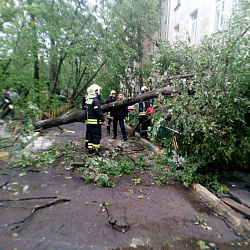 Студенты-спасатели МИРЭА ликвидируют последствия страшнейшего урагана в столице