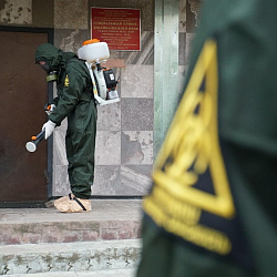 Студенты РТУ МИРЭА оказали помощь в тушении пожаров в Забайкальском крае