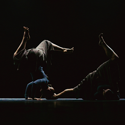 Участники Центра культуры и творчества РТУ МИРЭА стали победителями «Российской студенческой весны»