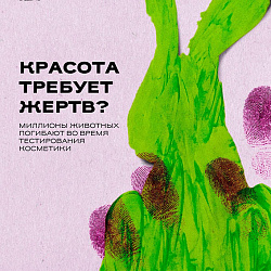 Подведены итоги студенческого смотр-конкурса «Образы города»