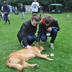 Волонтеры кампуса на ул. Стромынка посетили благотворительную выставку «Пристрой собак из приюта "Красная сосна"»