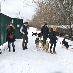 Волонтёры кампуса на ул. Стромынка посетили питомник «Красная сосна»
