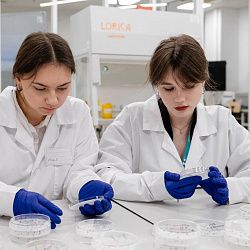 Более 500 человек приняли участие в мероприятиях ИТХТ имени М.В. Ломоносова в ноябре