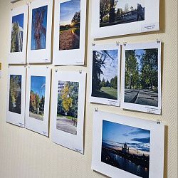 В РТУ МИРЭА открылась студенческая фотовыставка «Осенние мотивы»