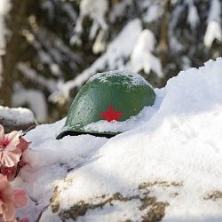 Студенты РТУ МИРЭА отправились на зимнюю Вахту Памяти в Селижаровский укрепрайон