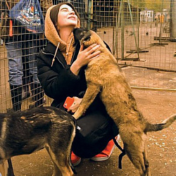 Волонтёры РТУ МИРЭА посетили приют для собак «Красная сосна»