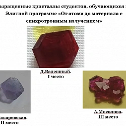 Студенты «элитной» программы обучения подвели итоги первого семестра