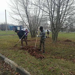Во всех кампусах РТУ МИРЭА прошли традиционные субботники