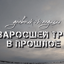 Дневник экспедиции «По заросшей тропе в прошлое»